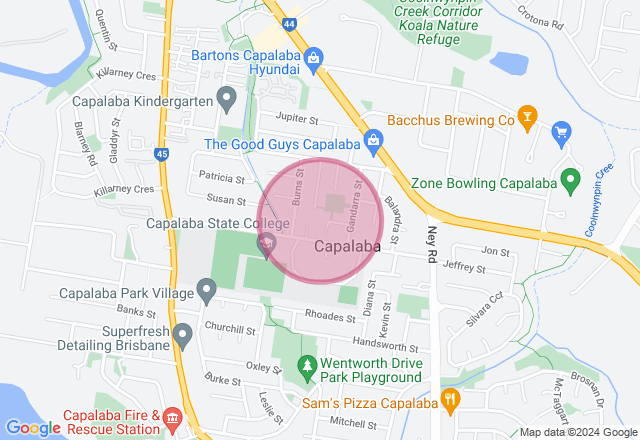 Cactus Cupcake Decorating Class location