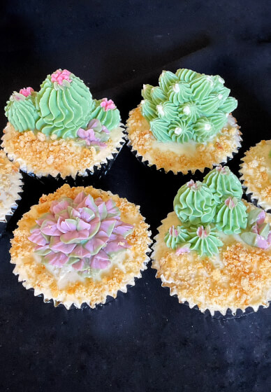 Cupcake Decorating Class for Beginners