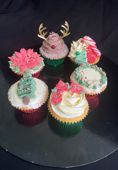Cupcake Decorating Class for Beginners